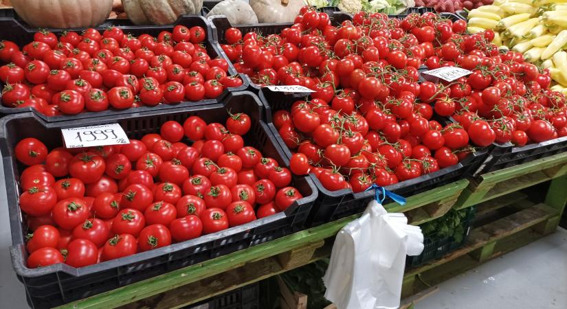 A paradicsom útja az Andoktól a magyar kertekig