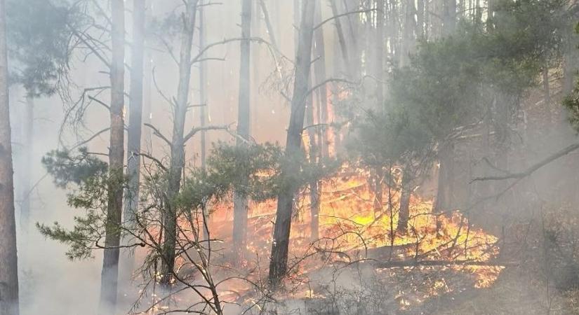 Idén 120 focipályányi terület lángjait oltották a tűzoltók Hevesben