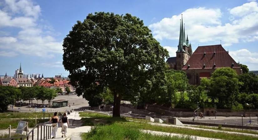 Németország legboldogabb városában tarol az AfD