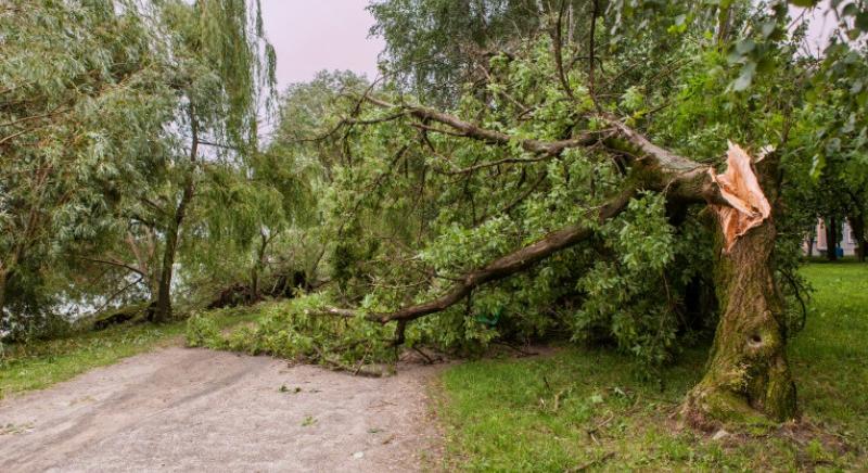 Viharokra és árvízveszélyre figyelmeztet az SHMÚ
