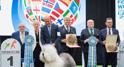 Magyar bobtail hódította el a világ legszebb kutyája címet