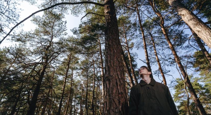 Az erdő türelmes óriásai – A Bükki Nemzeti Park a Törzsvendég kilencedik epizódjában