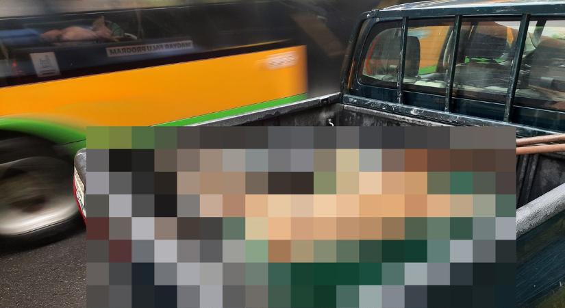 A Sóstói-úton döbbenten nézték végig, ahogy platóra rakják a kimerevedett holttestet (18)
