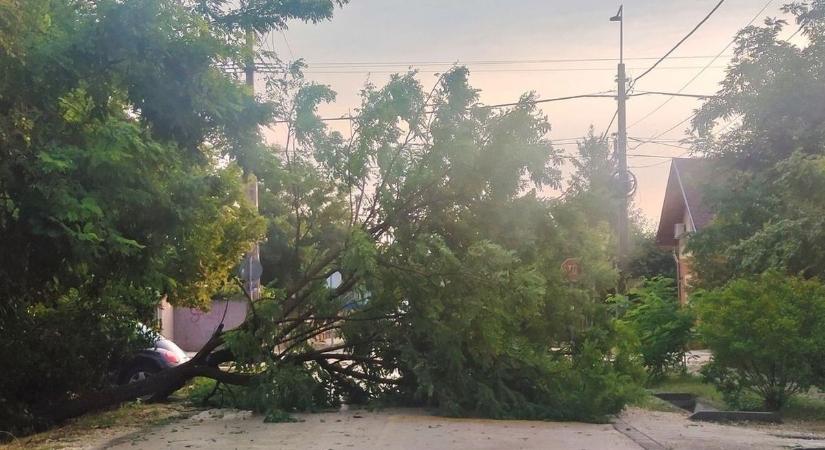 Így küzdöttek meg a tűzoltók az éjszakai viharral Tolnában