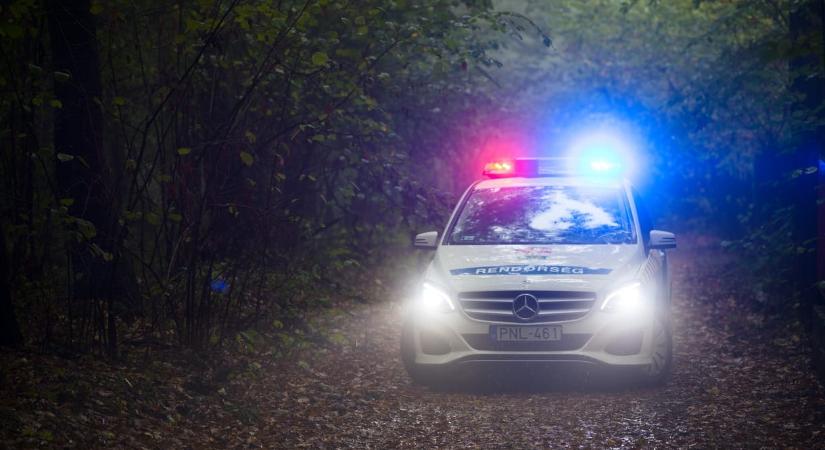Szándékosan az árokba hajtva akart végezni egész családjával egy börtönből kijött férfi
