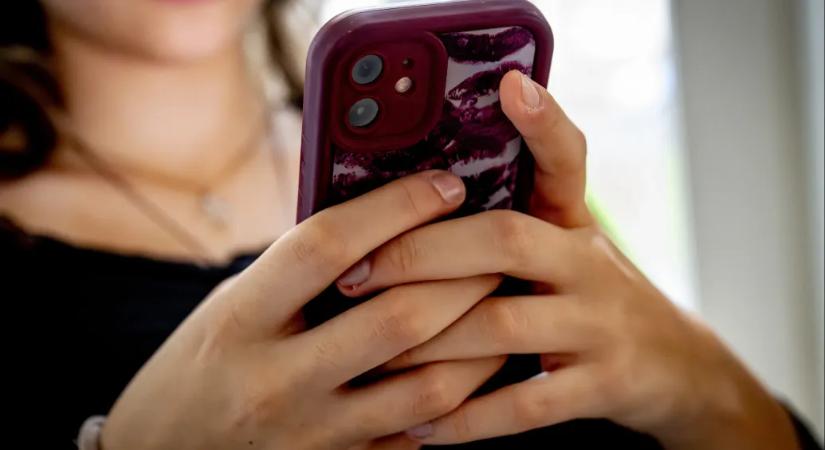 Kódszavakkal beszélgetnek pedofilok kiskorúak TikTok-videóinál