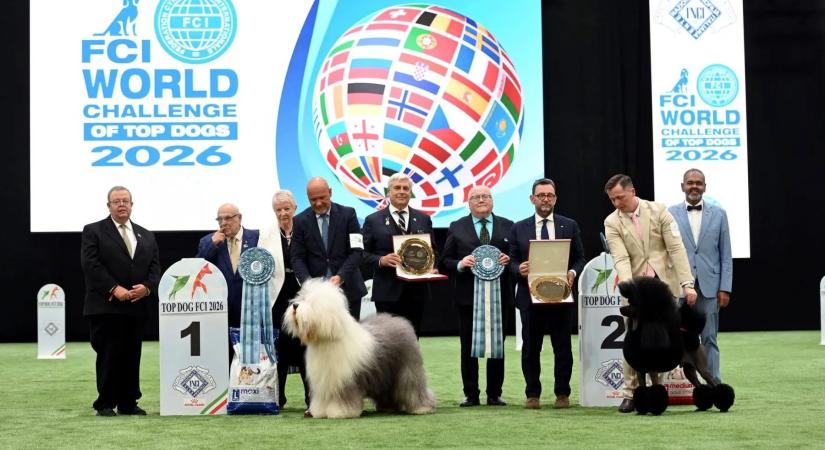 Magyar kutya nyerte a világ legszebbje címet a 2026-os World Dog Show-n