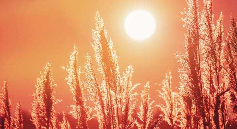 Meteorológia: az átlagosnál melegebb és szárazabb volt az idei május