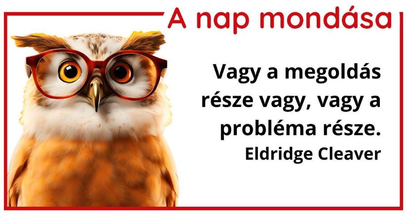 A nap mondása