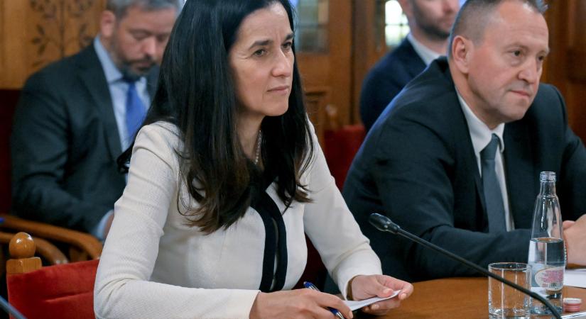 Orbán Anita: Ukrajnának ugyanazon az érdem alapú folyamaton kell végigmennie, mint más tagjelölteknek