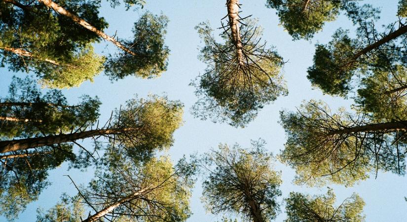 Nyakunkon a hétvége: mutatjuk, kell-e esernyő a kiránduláshoz