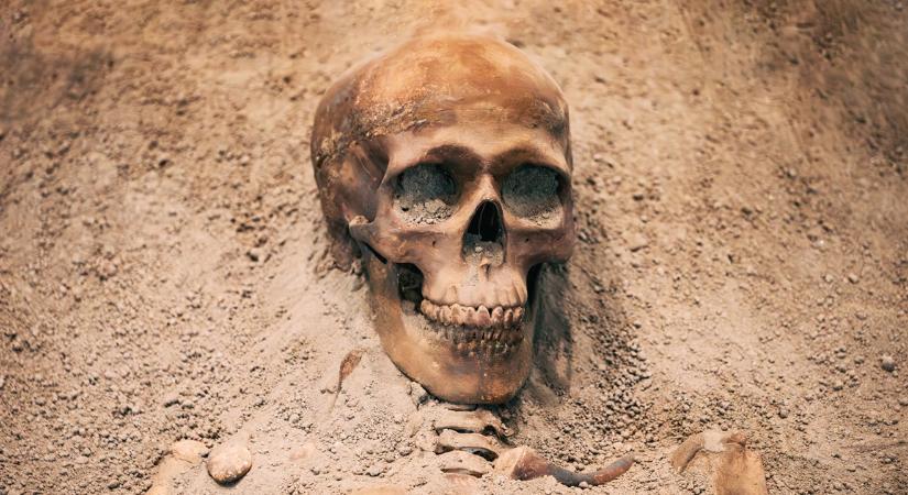 Horror a használtcikk-üzletben: már megint igazi koponya lapult az adományok között