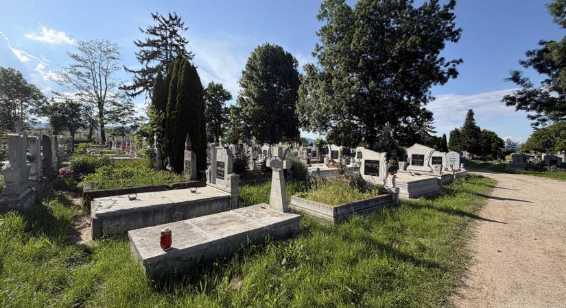 Felszólítások: „kilakoltathatják” a gondozatlan sírhelyeket Sepsiszentgyörgyön?