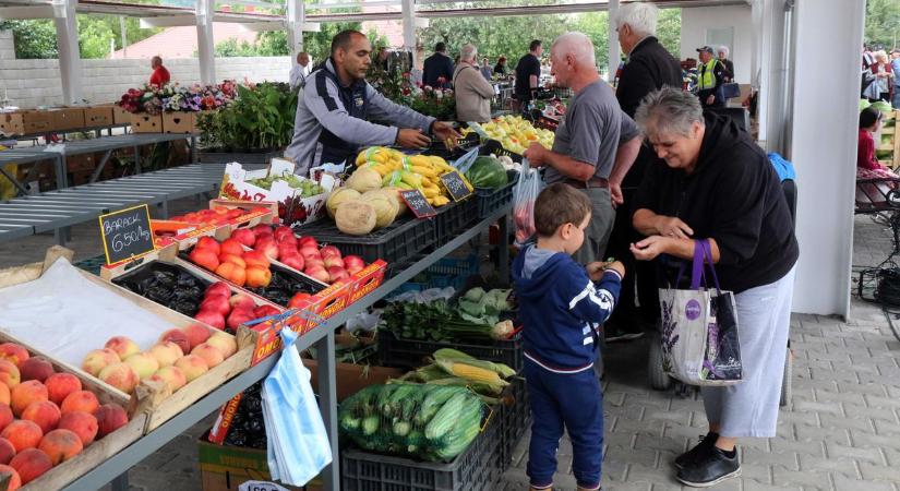 Sorsdöntő időszak előtt áll a magyar gazdaság, válságkezelésből vizsgázhat a Tisza-kormány
