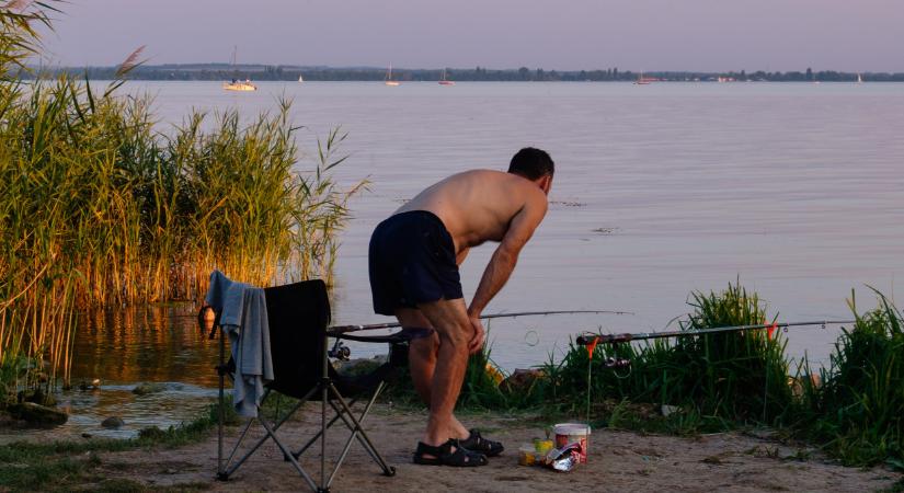 Remek hír érkezett a Balatonról: 9000 őshonos halat engedtek a tóba, a pecások kedvence lehet
