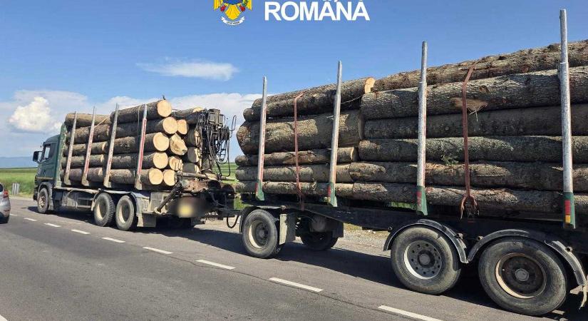 Nem engedték lemérni a farakományt: 120 ezer lejre bírságolt a háromszéki rendőrség