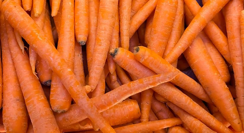 Hihetetlen, ami a sárgarépával történik Ukrajnában: ki látott már ilyet?