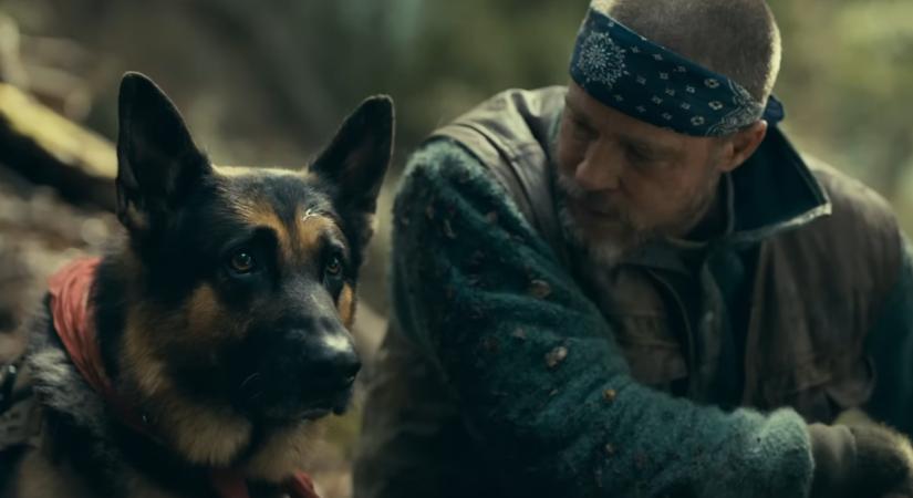 Megkapta első előzetesét Brad Pitt thrillerje, amiben a világ legkeményebb kutyája oldalán próbálja túlélni az alaszkai vadont