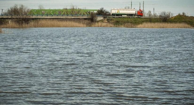 A mélyből jött fel a Hortobágy-Berettyó titka: olyan élőlényt találtak, aminek itt semmi keresnivalója!