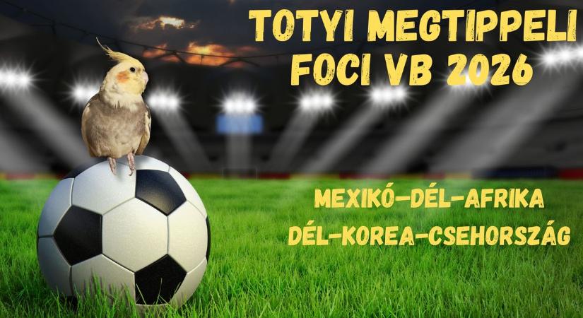 Totyi, a papagáj megtippeli: mutatjuk az első vb meccsek eredményeit! – videó