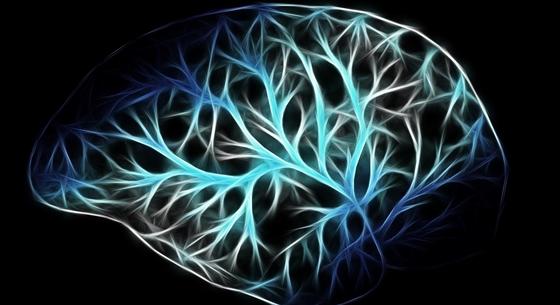 Újfajta módon vizsgálták az agysejteket a szegedi kutatók, az Alzheimer-kórt is hatékonyabban kezelhetik majd
