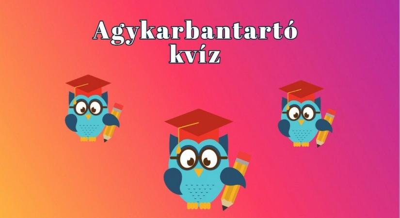 Az emberek fele nem tudja helyesen megválaszolni a kérdések javarészét - Agykarbantartó