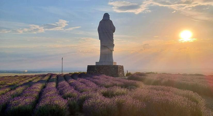 Lilába borult a tarcali Áldó Krisztus szobor környéke