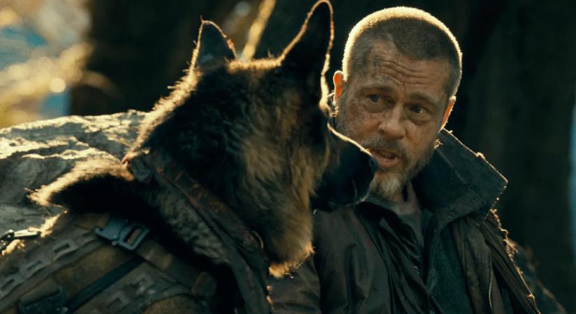 Itt van Brad Pitt kutyás túlélőmozijának első előzetese