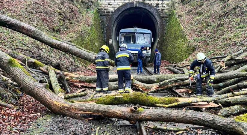 Fakidőlés bénította a Győr–Veszprém vonalat: vonatok álltak le, gyerekek gyalogoltak a Bakonyban