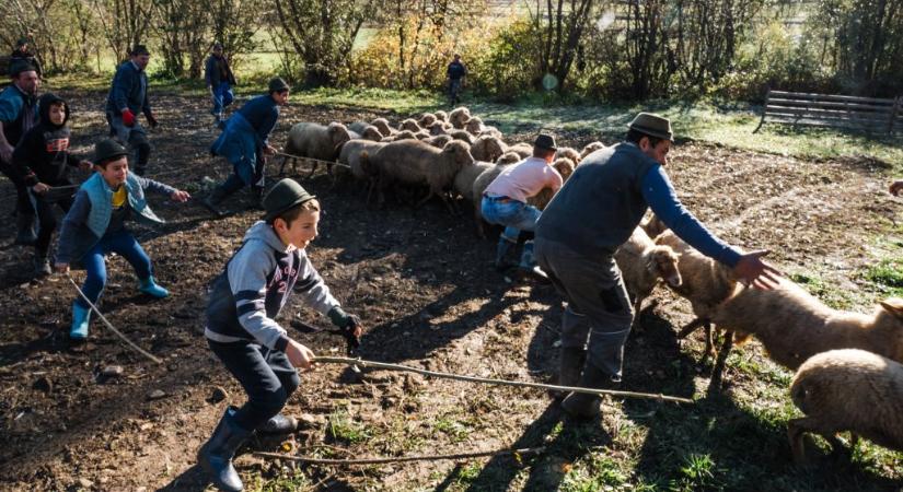 Galéria: Az eltűnő paraszti világ a Hemző-díj idei nyertesének fotóin