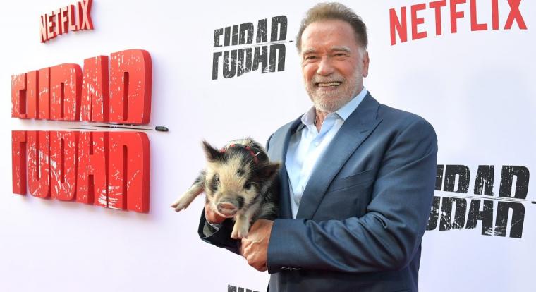 Arnold Schwarzenegger amolyan búcsúnak is szánja az új Conan, a barbárt