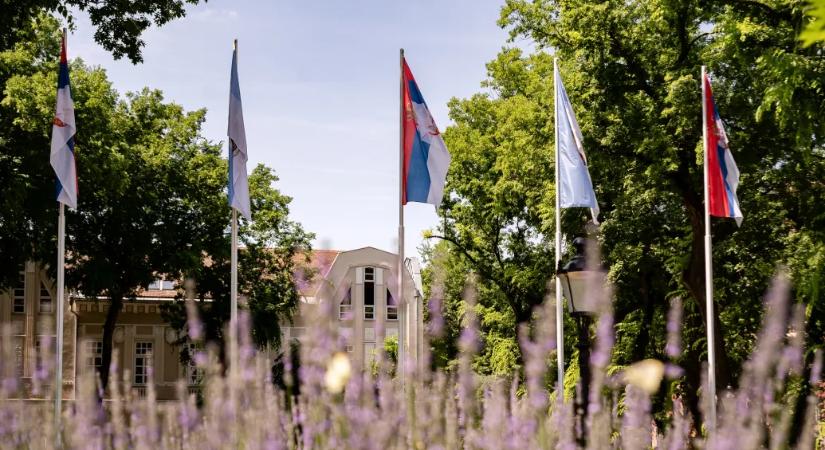 Úgy tűnik, nem szerb–magyar konfliktus áll a szabadkai zászlóégetés hátterében