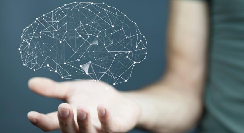 A pszichológus szerint ezek a furcsa szokások magas intelligenciára utalnak