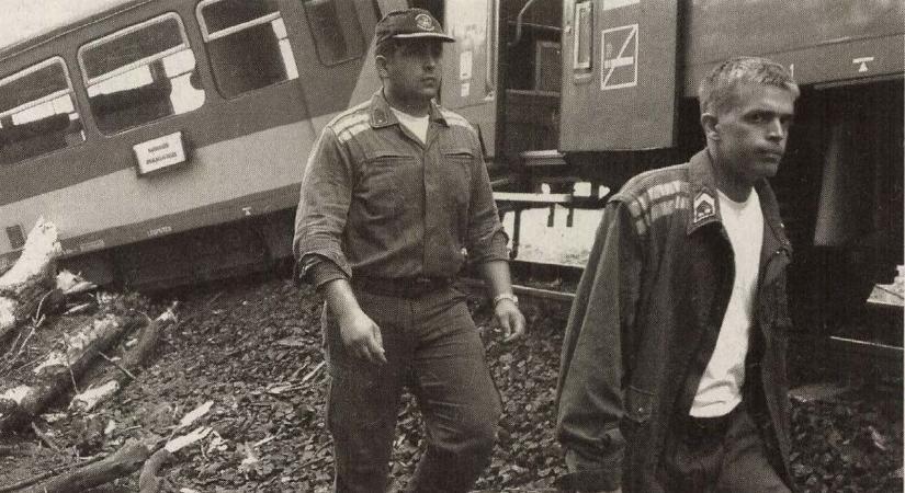 Vonat siklott ki a sínre dőlt fa miatt, nem sokon múlott a tragédia