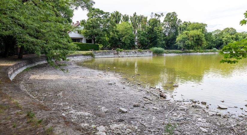 Mit rejt a Cseke-tó mélye? Egy szülő sem rúghat labdába a tűfogú ragadozó mellett