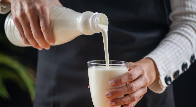 Ez történik valójában a bélflóráddal, ha kefirt iszol
