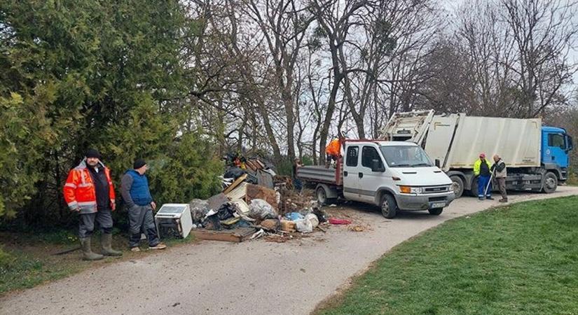 Sokkoló, mi kerül elő a Vértes erdeiből: milliók mennek el a szemét eltakarítására