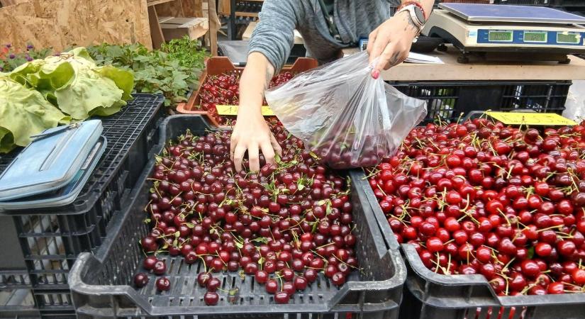 Ennyibe kerül idén a meggy és a görögdinnye - körbenéztünk a szombathelyi piacon