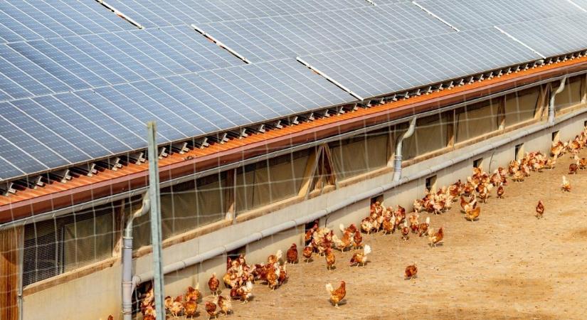 Lecseréljük Paksot? Történelmi rekord a magyar villamosenergia-termelésben