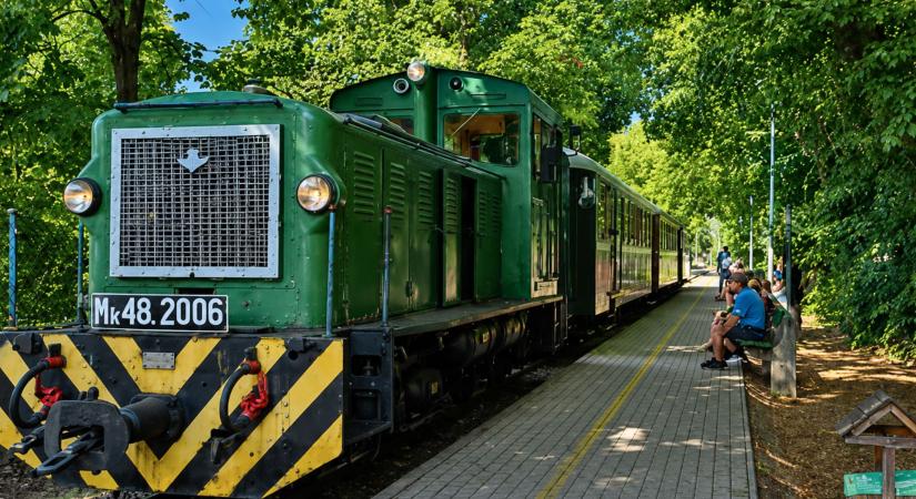 Ki a tanteremből! Nyári kaland a Zsuzsival