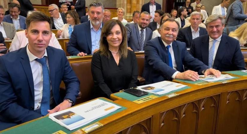 Rost Andrea elfelejtette bevallani a 200 milliós villáját – mi értelme így a vagyonnyilatkozatoknak?