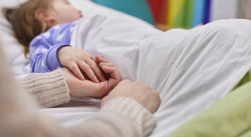 4 kisgyerek evett ilyet a múlt héten, mind a Heim Pál kórházban fekszik - Orvosok figyelmeztetik a szülőket