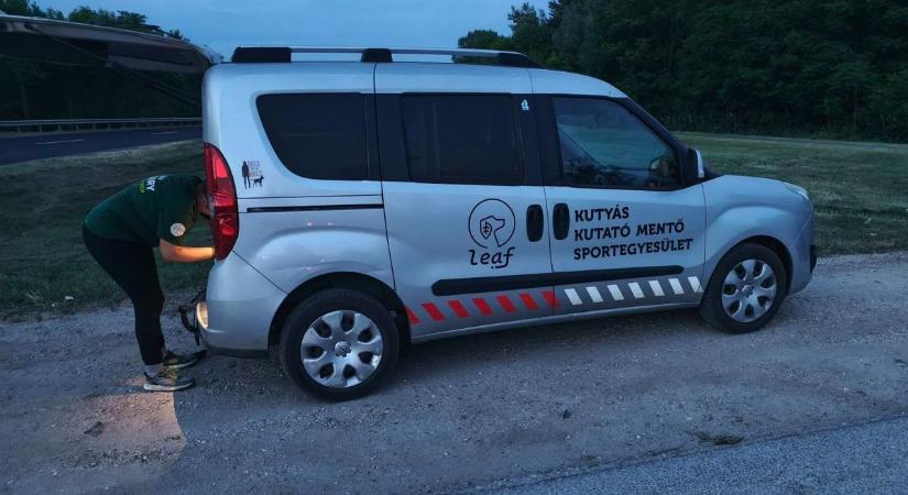Speciális mentők is keresték az eltűnt fiút, kiderült, miért nem találtak semmi nyomot