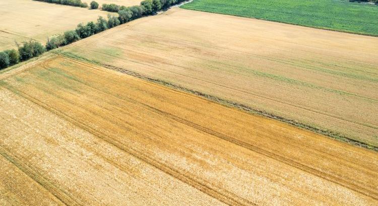 Kettévált az agrárirányítás: erre figyelhetnek a gazdák