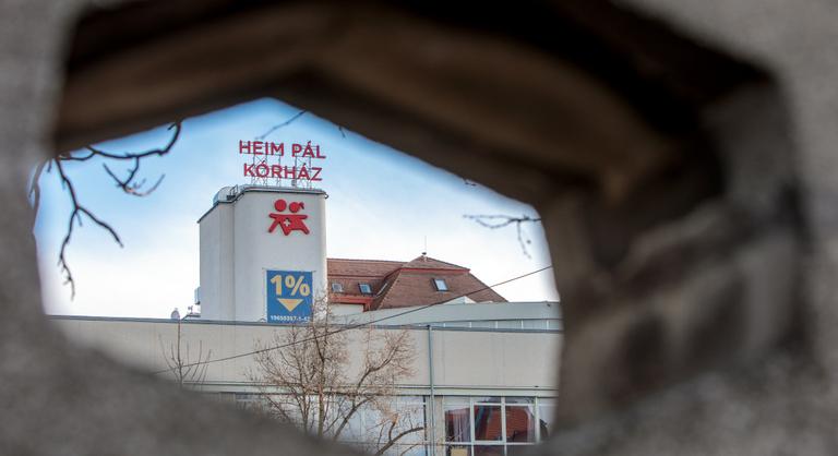 Egy hét alatt négy gyermek került a Heim Pálba, miután gombelemet nyeltek