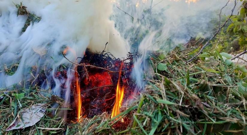 Az elmúlt napok esőzése megtette hatását: változás történt a Jászkunságban