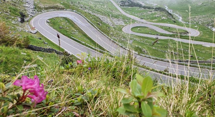 Megnyílt a Transzfogarasi út – Figyelmeztetnek a medveveszélyre (VIDEÓ)