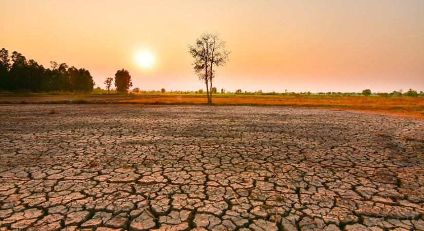 Hivatalosan is itt van az El Niño – soha nem volt még olyan durva, mint most lesz