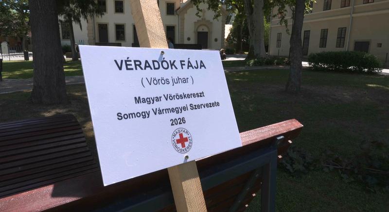 Életmentő donorok