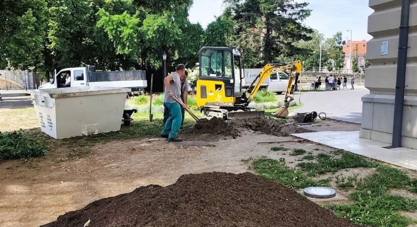 Jelentős környezeti fejlesztés indul a Móra parkban, új növényzet védi és szépíti a területet